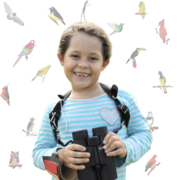 Captura de Pantalla 2021-07-05 a la(s) 2.00.42 p. m.