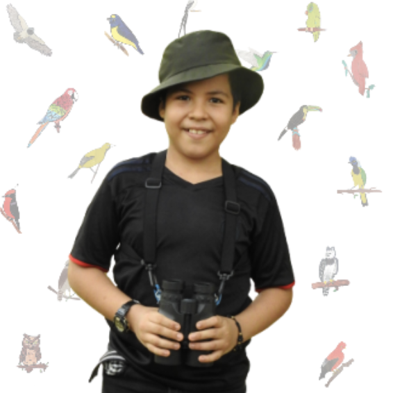 Captura de Pantalla 2021-07-05 a la(s) 2.00.50 p. m.