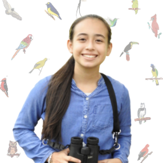 Captura de Pantalla 2021-07-05 a la(s) 2.01.02 p. m.