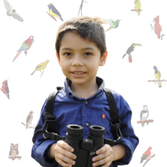 Captura de Pantalla 2021-07-05 a la(s) 2.01.11 p. m.