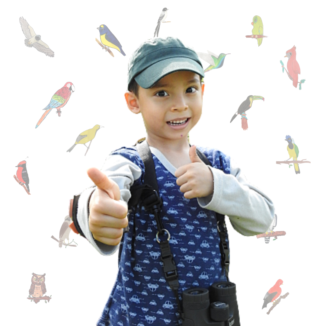 Sebastián España Rodríguez