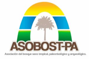 asobospa asobospa