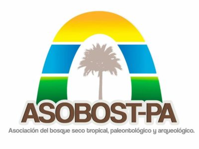 asobospa asobospa